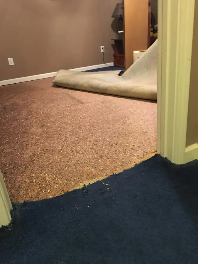 Carpet pad removal revealing water damage during Drying & Dehumidification in Cloverleaf