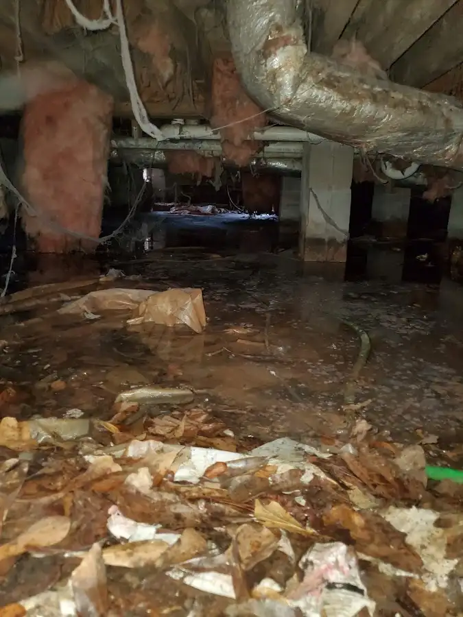 Crawl space flood assessment for Leak Detection & Repair in Cloverleaf